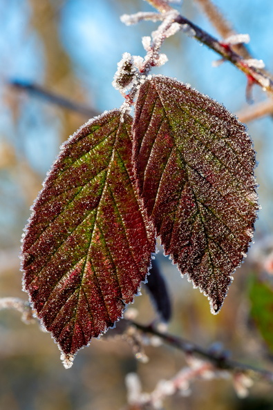DSC_3576.jpg