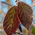 DSC 3576