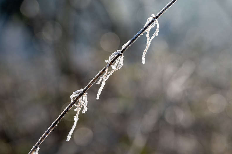 DSC_3595.jpg