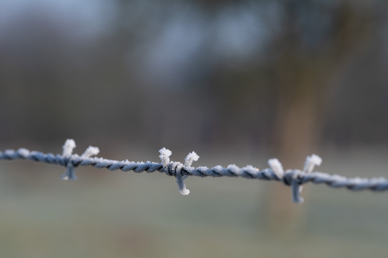 DSC_3634.jpg