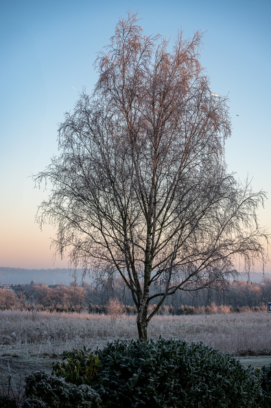 DSC_3547.jpg
