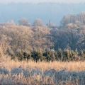 DSC 3553