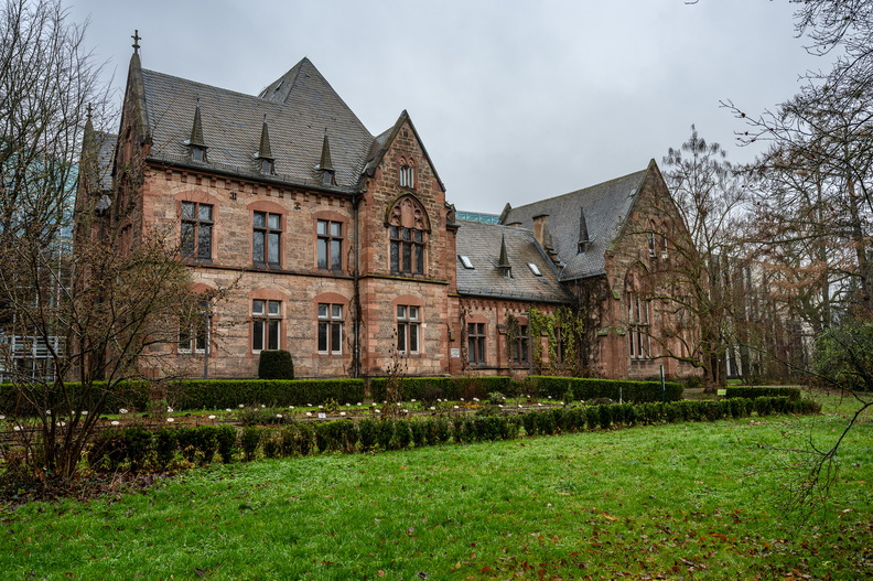 DSC_6148.jpg