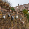 DSC 6152